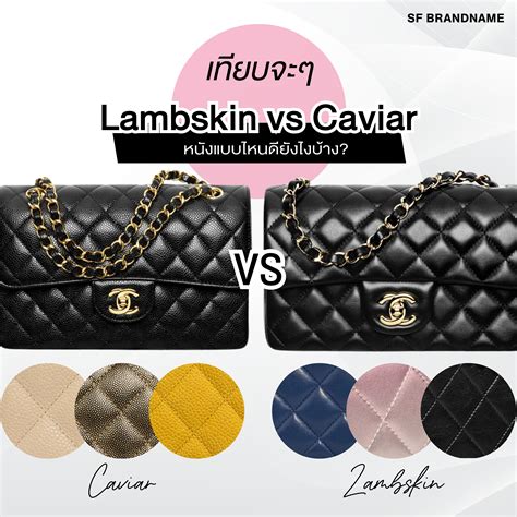 caviar vs lambskin chanel leather|Chanel Caviar Leather Guide .